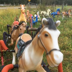 Fundraising Page: Christopher Roberts